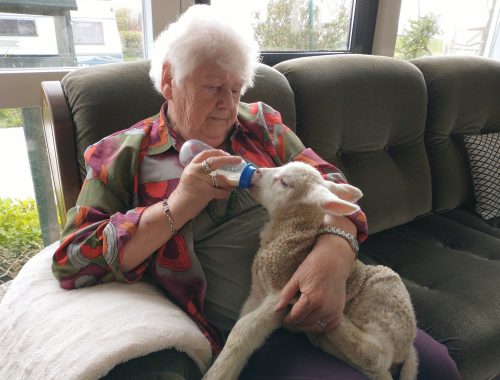 181386568_1347599755621436_3314554872775740429_n